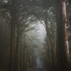 The Path 0.025ETH